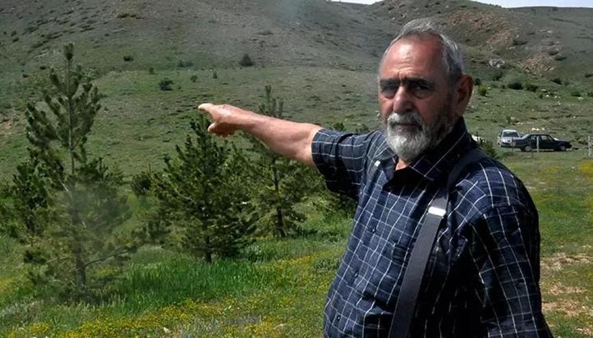 12 bin çam fidanı diktiği ormanda çıkan yangında hayatını kaybetti 12 bin çam fidanı diktiği ormanda çıkan yangında hayatını kaybetti