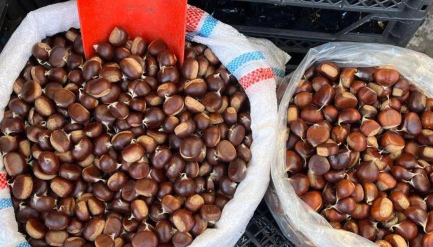 Kestane toplamak isteyen ücret ödeyecek Kestane toplamak isteyen ücret ödeyecek
