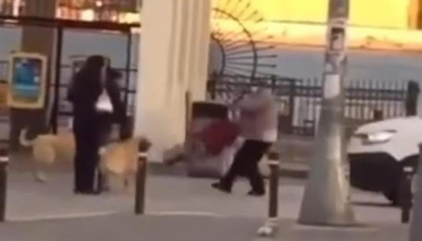 İstanbulun göbeğinde dehşet dolu anlar Yaşlı kadın, iki köpeğin saldırısına uğradı İstanbulun göbeğinde dehşet dolu anlar Yaşlı kadın, iki köpeğin saldırısına uğradı