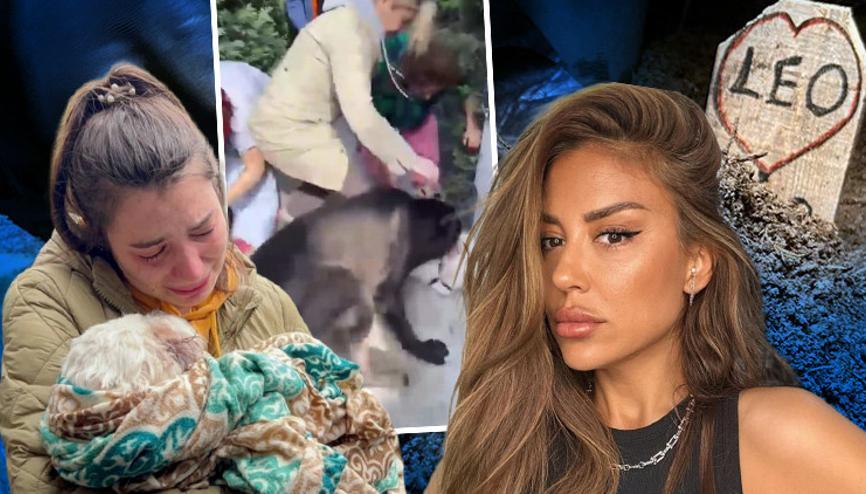 Drago isimli köpeğin öldürdüğü Leo toprağa verildi... Banu Parlaka 4 bin 800 lira ceza