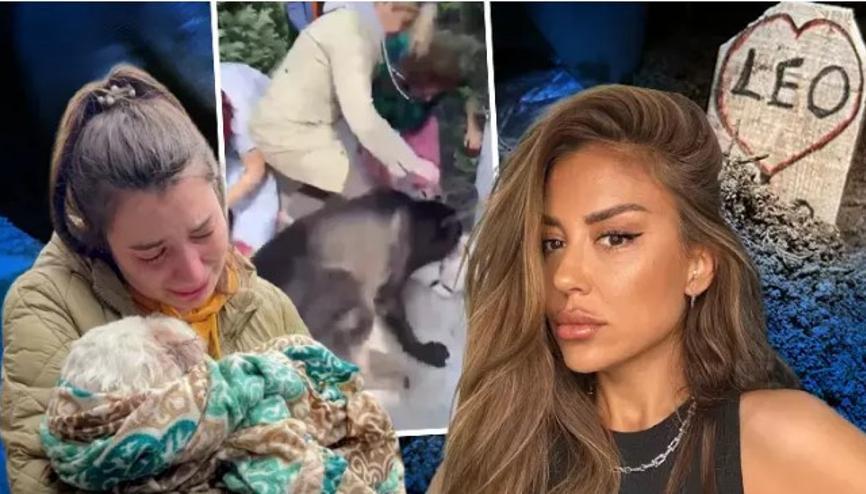 Banu Parlakın köpeğinin öldürdüğü Leo toprağa verildi