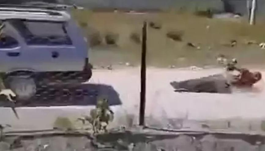 Köpek yüzünden tartıştığı kişiyi iple otomobilin arkasına bağlayıp sürükledi Köpek yüzünden tartıştığı kişiyi iple otomobilin arkasına bağlayıp sürükledi