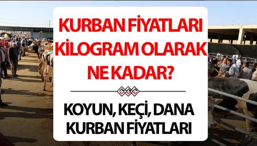 KURBAN FİYATLARI 2025 CANLI (KG-KİLO)🐑🐄 || Koyun, keçi, küçükbaş, dana, büyükbaş kurban fiyatları ne kadar, kaç TL Bu yıl 2025 kurban kesim bedeli belli oldu KURBAN FİYATLARI 2025 CANLI (KG-KİLO)🐑🐄 || Koyun, keçi, küçükbaş, dana, büyükbaş kurban fiyatları ne kadar, kaç TL Bu yıl 2025 kurban kesim bedeli belli oldu