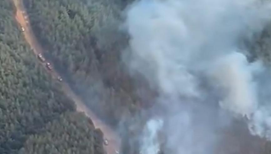 Edirne Keşan’da orman yangını