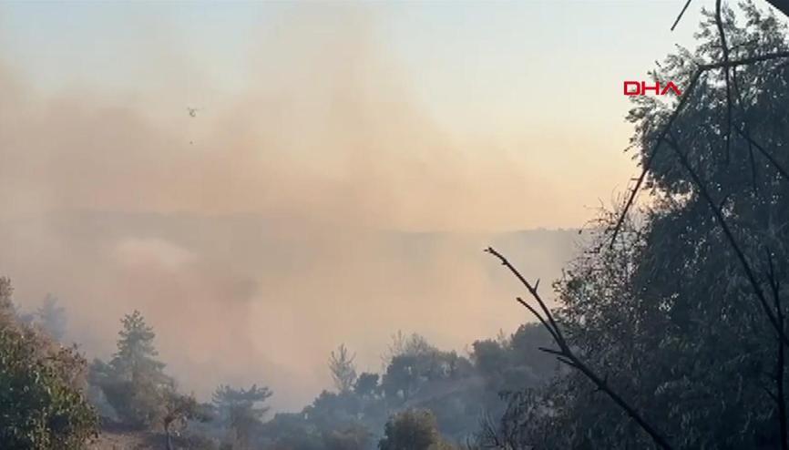 Muğla’da orman yangını Muğla’da orman yangını