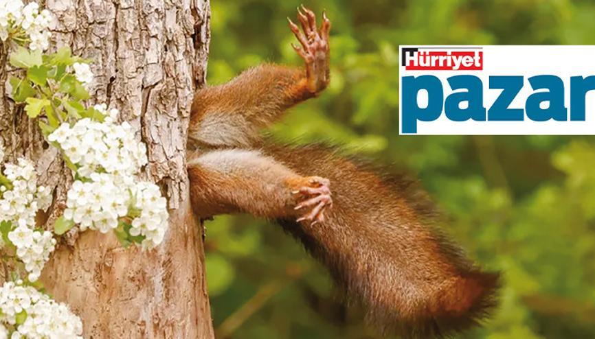 Doğanın neşe kaynakları