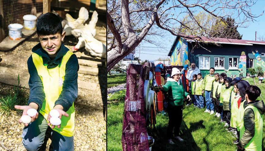 İstanbul’da Tabiat Mektepleri: Taş fırında ekmek, kümeste taze yumurta İstanbul’da Tabiat Mektepleri: Taş fırında ekmek, kümeste taze yumurta
