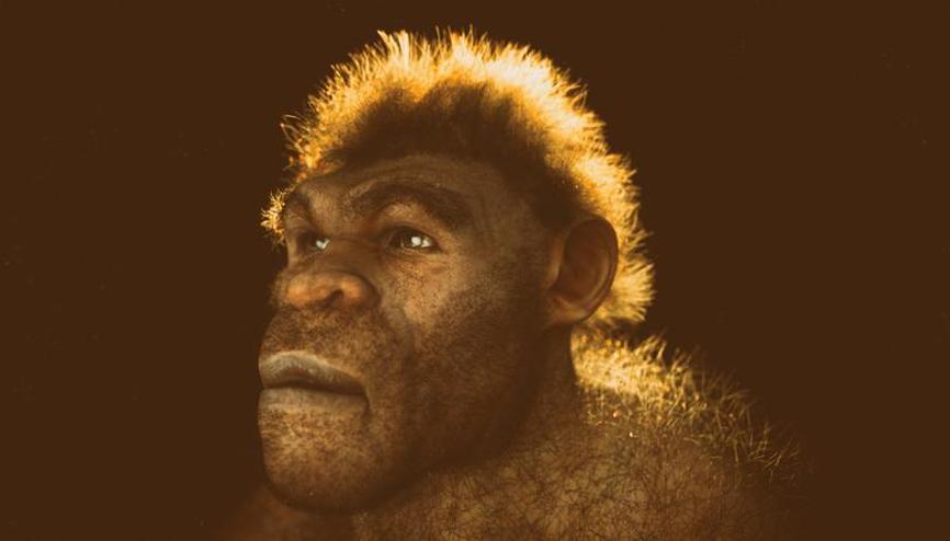 Neandertal ve insan yüzü neden birbirinden farklı İhtimaller oldukça şaşırtıcı Neandertal ve insan yüzü neden birbirinden farklı İhtimaller oldukça şaşırtıcı