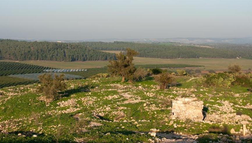 Üç yaşındaki çocuğun yerden aldığı taş, 3 bin 800 yıllık tarihi eser çıktı Üç yaşındaki çocuğun yerden aldığı taş, 3 bin 800 yıllık tarihi eser çıktı