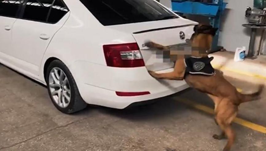 Bakan Yerlikaya: Van ve Şanlıurfa’da 311,5 kg uyuşturucu madde ele geçirdik Bakan Yerlikaya: Van ve Şanlıurfa’da 311,5 kg uyuşturucu madde ele geçirdik