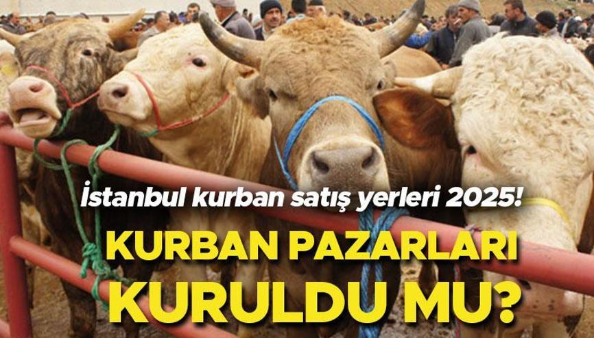 İstanbul kurban satış yerleri 2025 | Kurbanlıklar İstanbula ne zaman gelecek 2025 Kurban pazarları kuruldu mu İstanbul İl Tarım ve Orman Müdürü açıkladı İstanbul kurban satış yerleri 2025 | Kurbanlıklar İstanbula ne zaman gelecek 2025 Kurban pazarları kuruldu mu İstanbul İl Tarım ve Orman Müdürü açıkladı