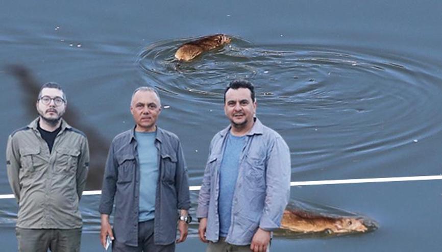 Diyarbakırda görüntülenen canlı için bilim insanları kente geldi... Kapanlarla yakalayıp üzerinde çalışma yapacaklar Diyarbakırda görüntülenen canlı için bilim insanları kente geldi... Kapanlarla yakalayıp üzerinde çalışma yapacaklar