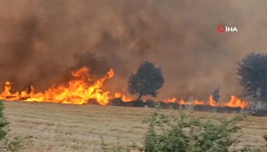 Edirne’nin Keşan ilçesinde orman yangını
