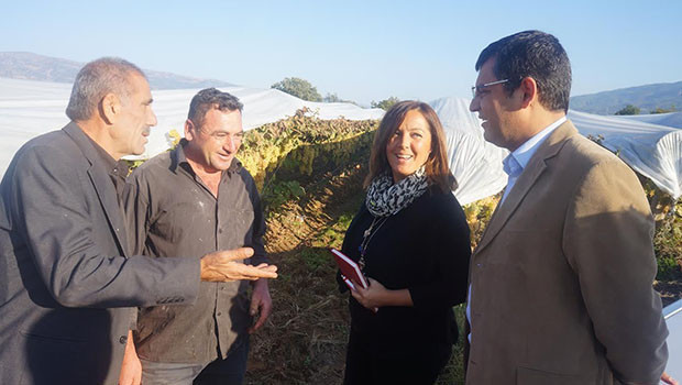 Suriye ve Ortadoğu krizi Ege’nin bağlarını vurdu