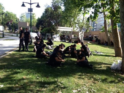 Polis: Kim ister ki ağacın kesilmesini