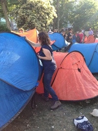 Polis: Kim ister ki ağacın kesilmesini