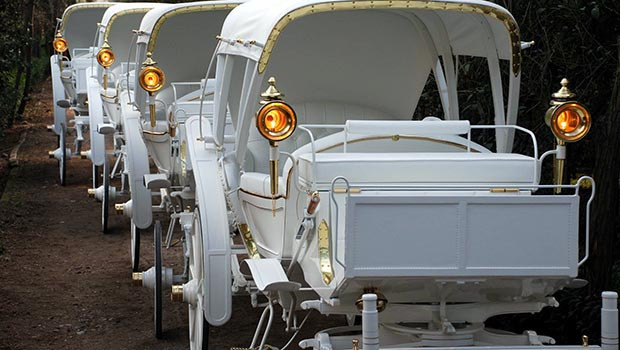 Akhisar’dan doğan GÜNEŞ dünyayı dolaşıyor