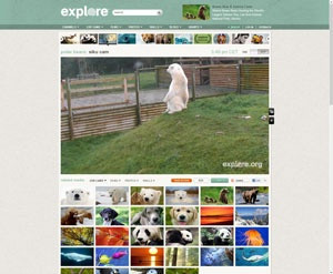 Keşfetmeniz gereken 10 harika site