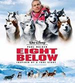 Kızak köpeklerinin yaşam mücadelesi