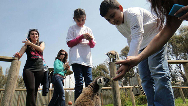 Otizmli çocuklar Yaşam Parkını çok sevdi