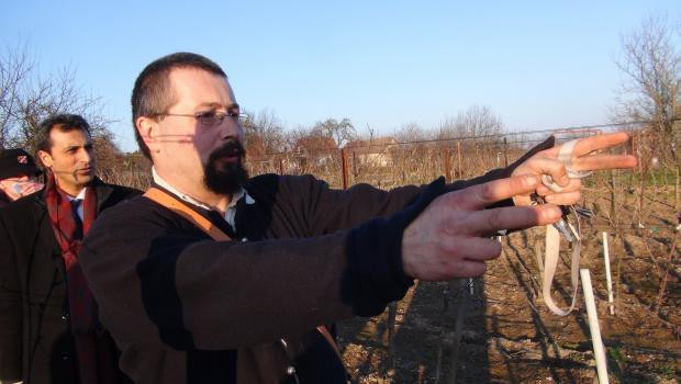 Kanuni Sultan Süleymanın iç organlarının gömüldüğü yer tespit edildi