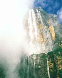 /images/100/0x0/55ea6c2ff018fbb8f87ee4e8