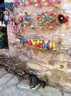Okur Gözüyle Seyehat Fotoğrafları