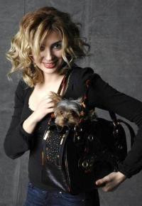 Tarkan’ın sevgilisi marka olma yolunda