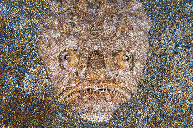 Öldüreni de var, süründüreni de