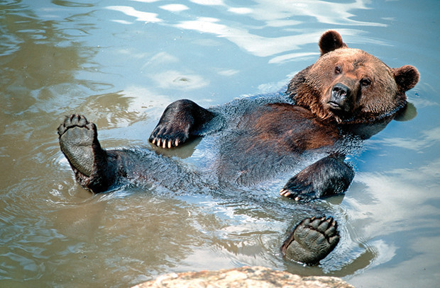 Öldüreni de var, süründüreni de