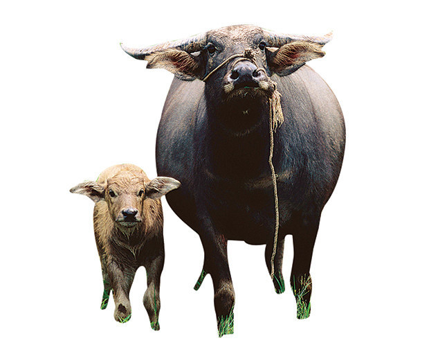 Öldüreni de var, süründüreni de