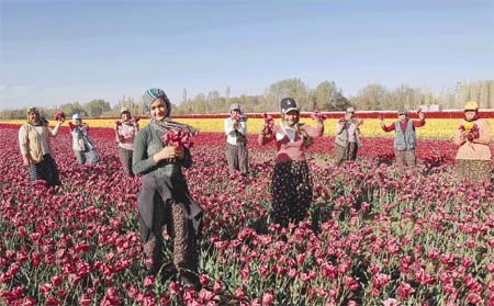 /images/100/0x0/55ea8c97f018fbb8f8873d23