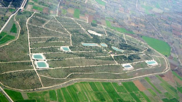 Cenaze töreni belli oldu