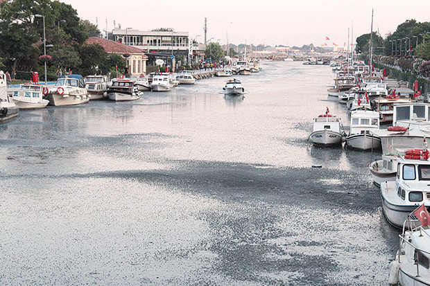 Kurbağalıderenin suyunu test ettik: Sonuç korkunç