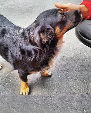 Etkinlik, bir işe yarıyorsa güzel