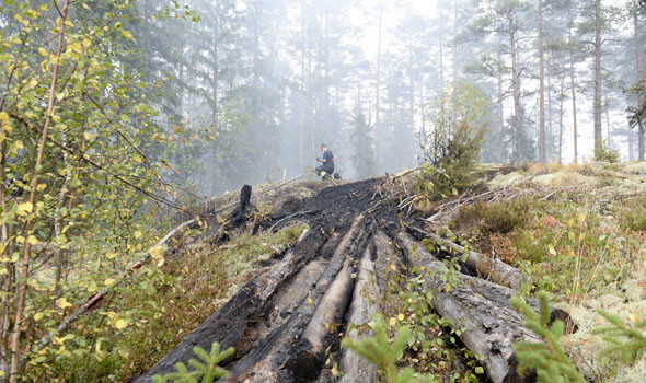 İsveç Kralını hayrete düşüren yangın