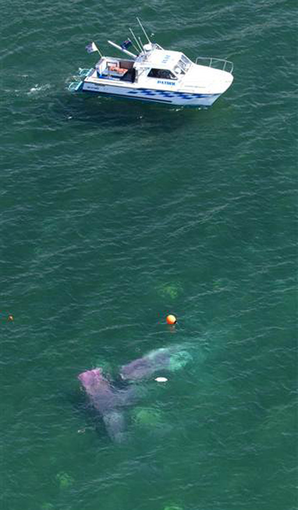 Uçak düştü herkes kurtuldu