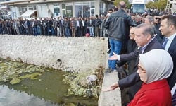 Cahili cühelayla olmuyor