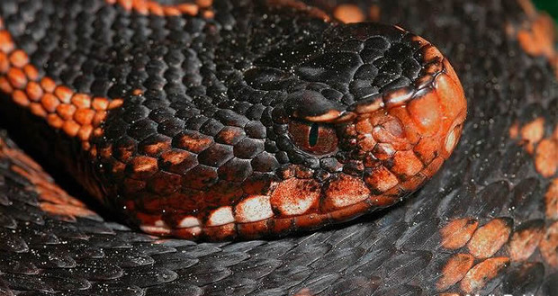 Bu günlerde olabilecek tehlikeli karşılaşmalar