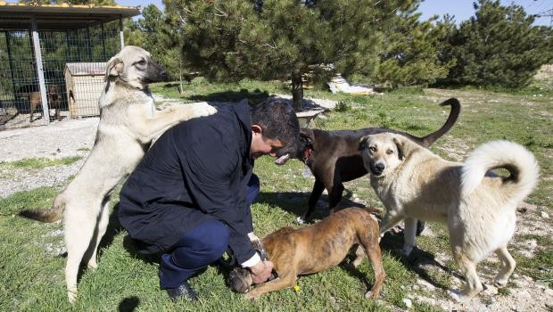 Erkan Haberal: Babam CHPli olmadan evvel MHPliydim