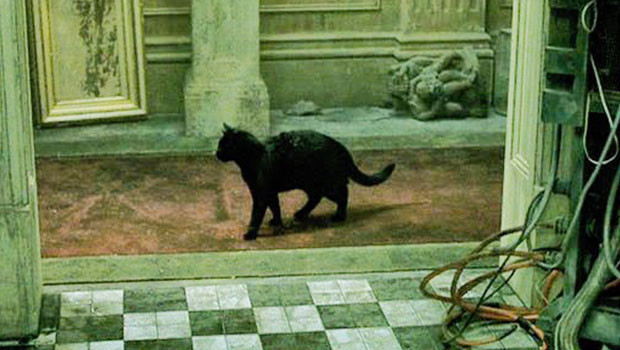 Neden Dejavu hissine kapılıyoruz