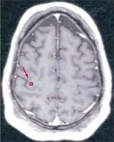 /images/100/0x0/55eb125ff018fbb8f8a93132