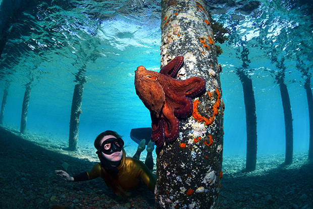 Kızıldeniz’in karşı yakası: Akabe