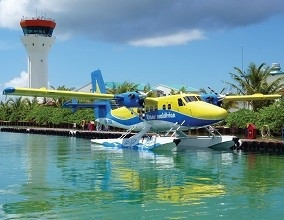 /images/100/0x0/55eb57def018fbb8f8bb273f