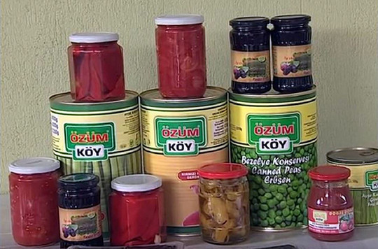 İzmirin girişimci köyleri