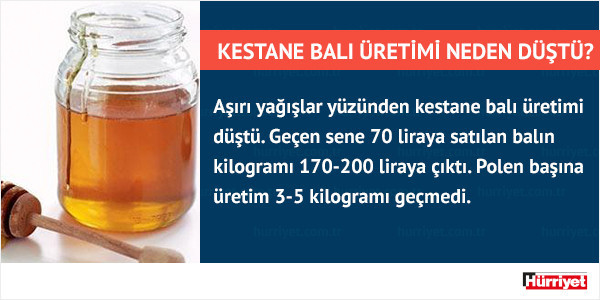 Kestane balı üretiminde rekor düşüş