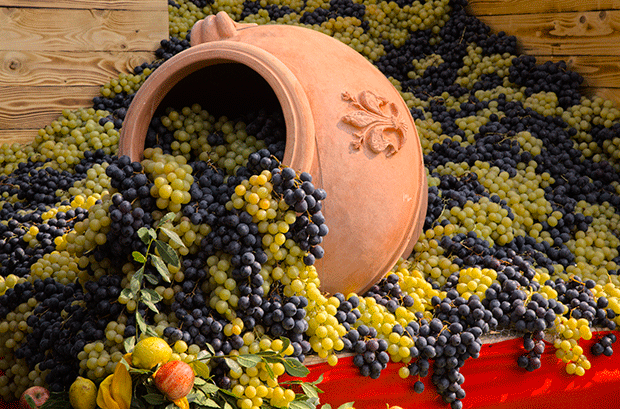 Nerede o eski bağbozumları