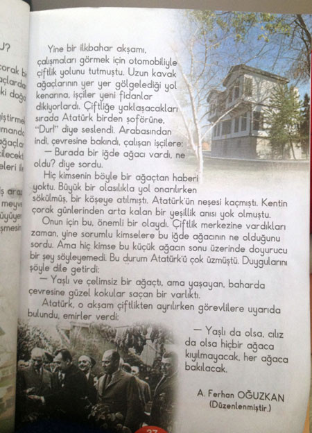 O iğde ağacı hepten gitti