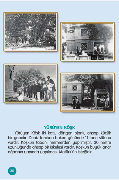 O iğde ağacı hepten gitti