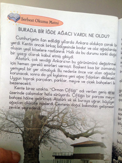 O iğde ağacı hepten gitti